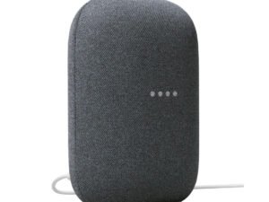 Google Nest Audio