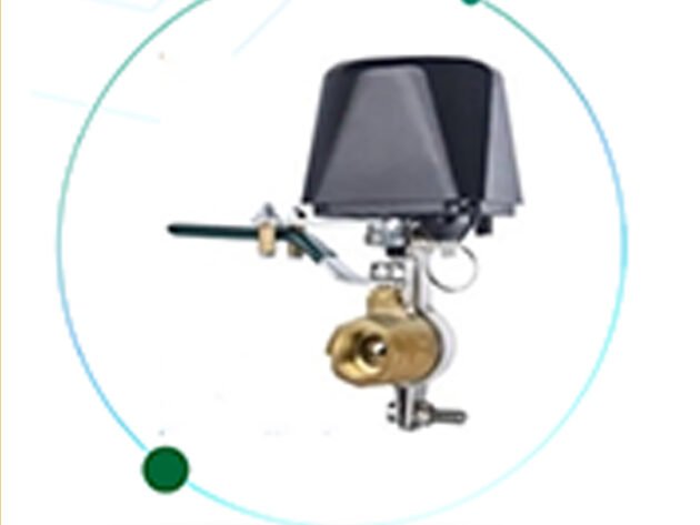 Gas/Water Valve
